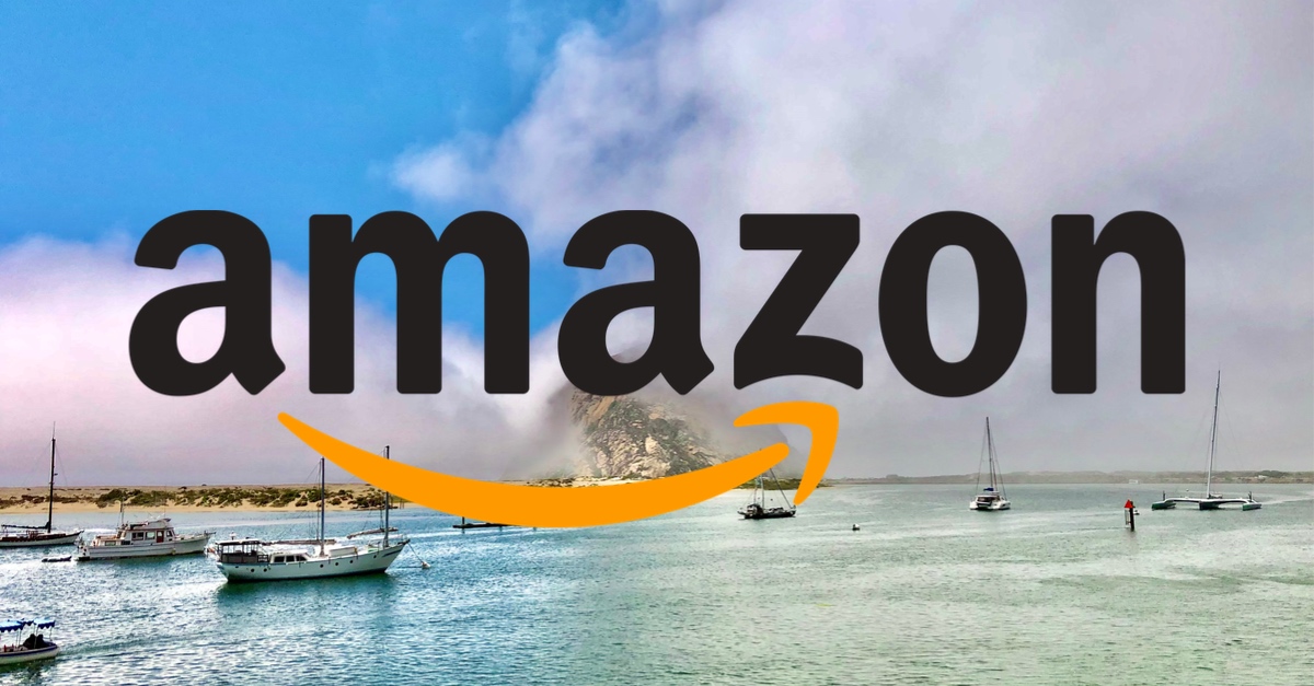 Amazon—Earnings & Outlook